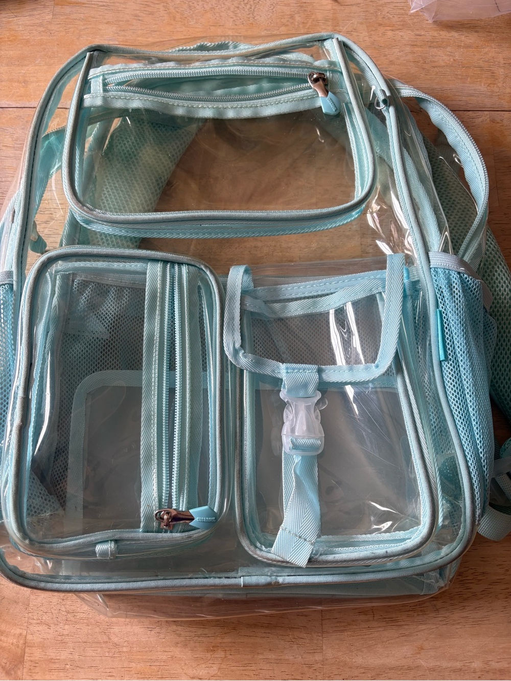 Clear Light Blue Multi-Pocket Backpack by - Picture 4 of 4